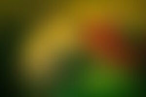 Фотография экшн-игры Джуманджи от компании Джуманджи (Фото 3)