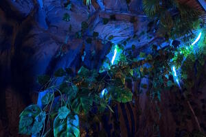 Фотография квеста Остров Тортуга от компании Vayb (Фото 4)